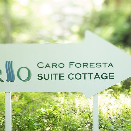 فندق تسوماجوافي  Caro Foresta Kita Karuizawa Rio المظهر الخارجي الصورة