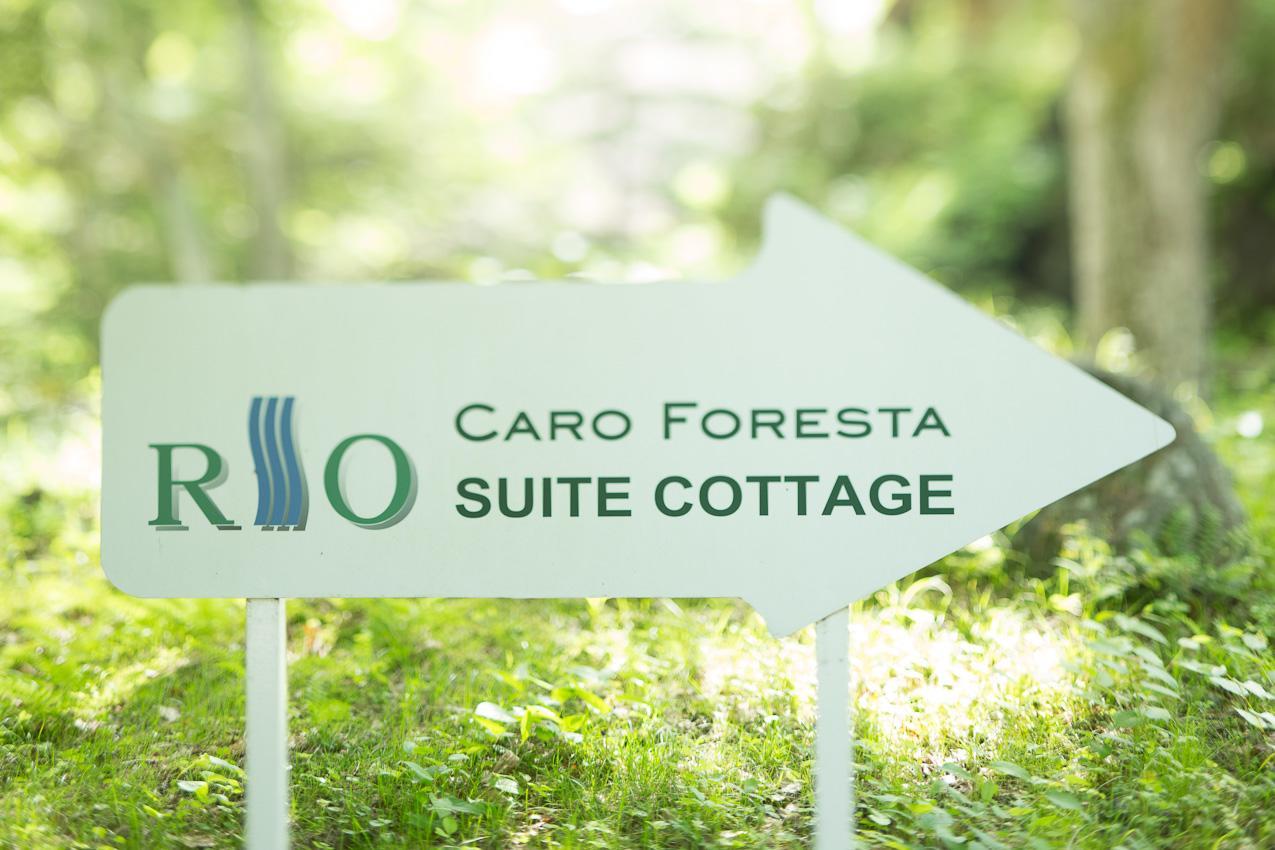 فندق تسوماجوافي  Caro Foresta Kita Karuizawa Rio المظهر الخارجي الصورة