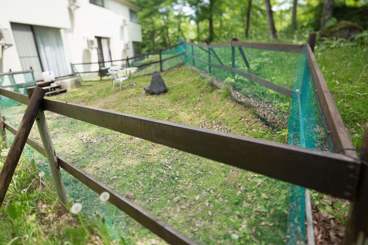 فندق تسوماجوافي  Caro Foresta Kita Karuizawa Rio المظهر الخارجي الصورة